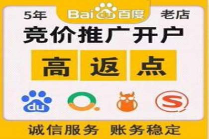 百度推广的定向广告投放策略